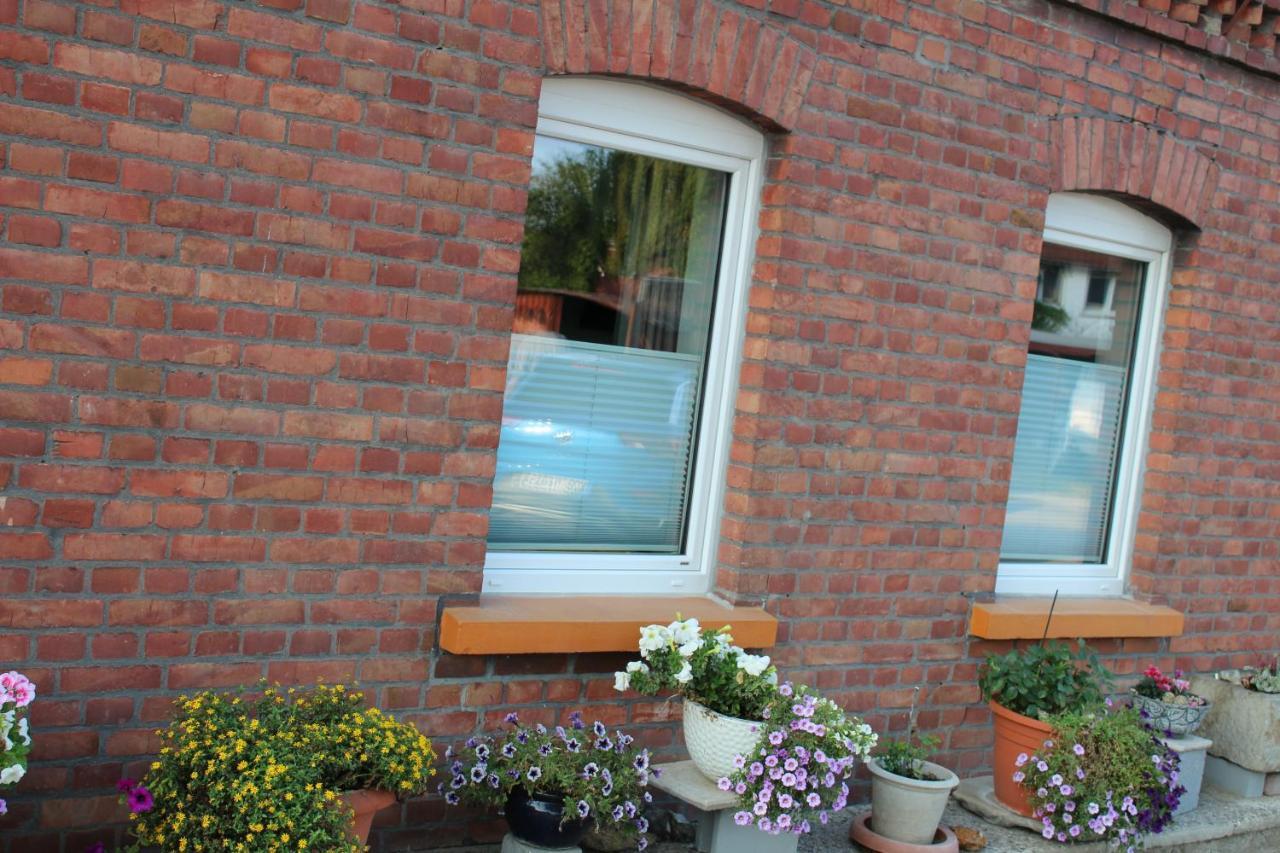Apartment Hanske Isenbüttel Zewnętrze zdjęcie
